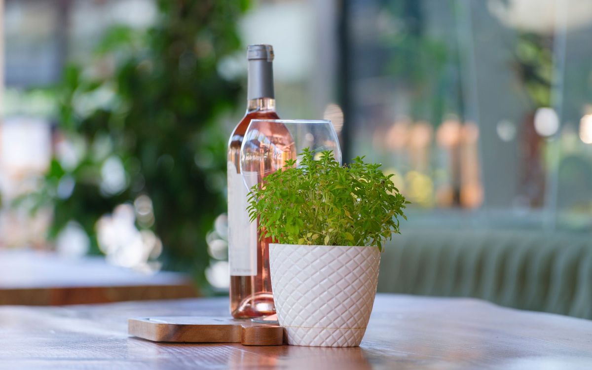 A bottle of rosé wine and glass with a potted plant on a wooden table indoors