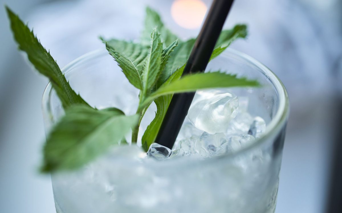 Close-up of a cold drink garnished with fresh mint leaves and ice