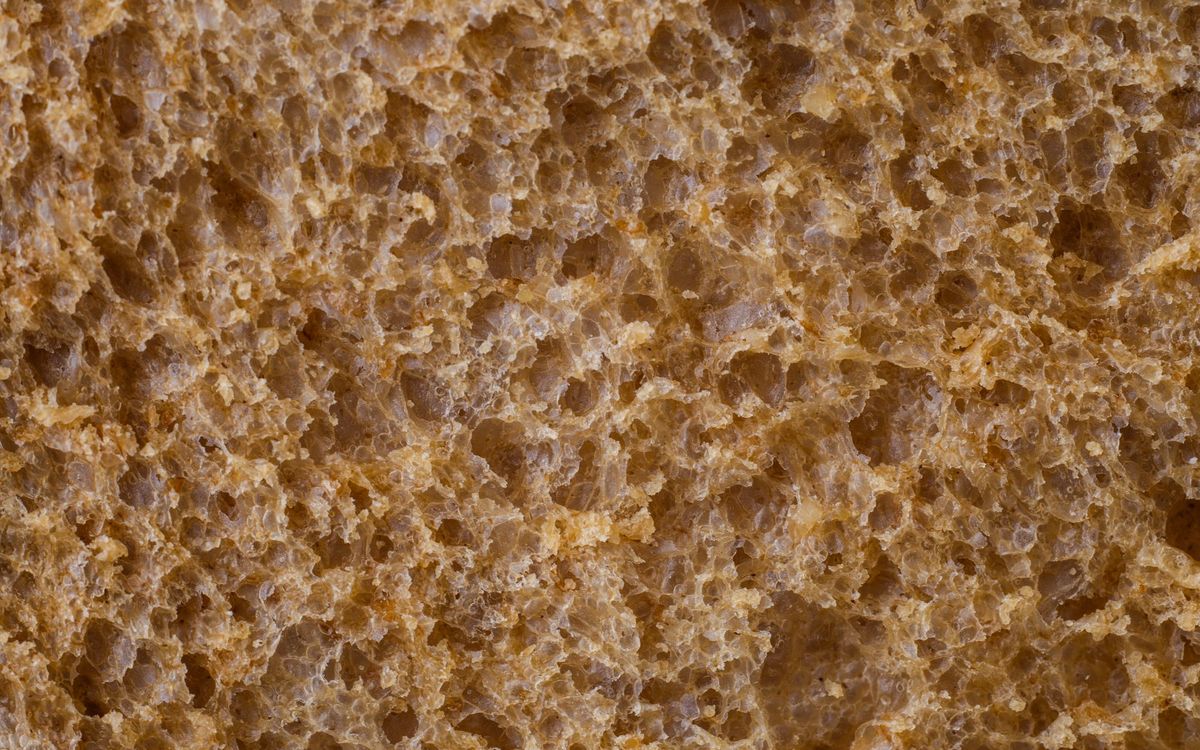 Detailed close-up of whole wheat bread showing its unique texture and porous structure.